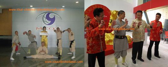 การแสดงกังฟูวัดเส้าหลิน ตรุษจีน 2553 เซ็นทรัล แจ้งวัฒนะ ชลบุรี 4/ Shaolin Kungfu performance on Chinese New Year 2010 at Central Plaza Jangwattana and Central Chonburi Thailand 4